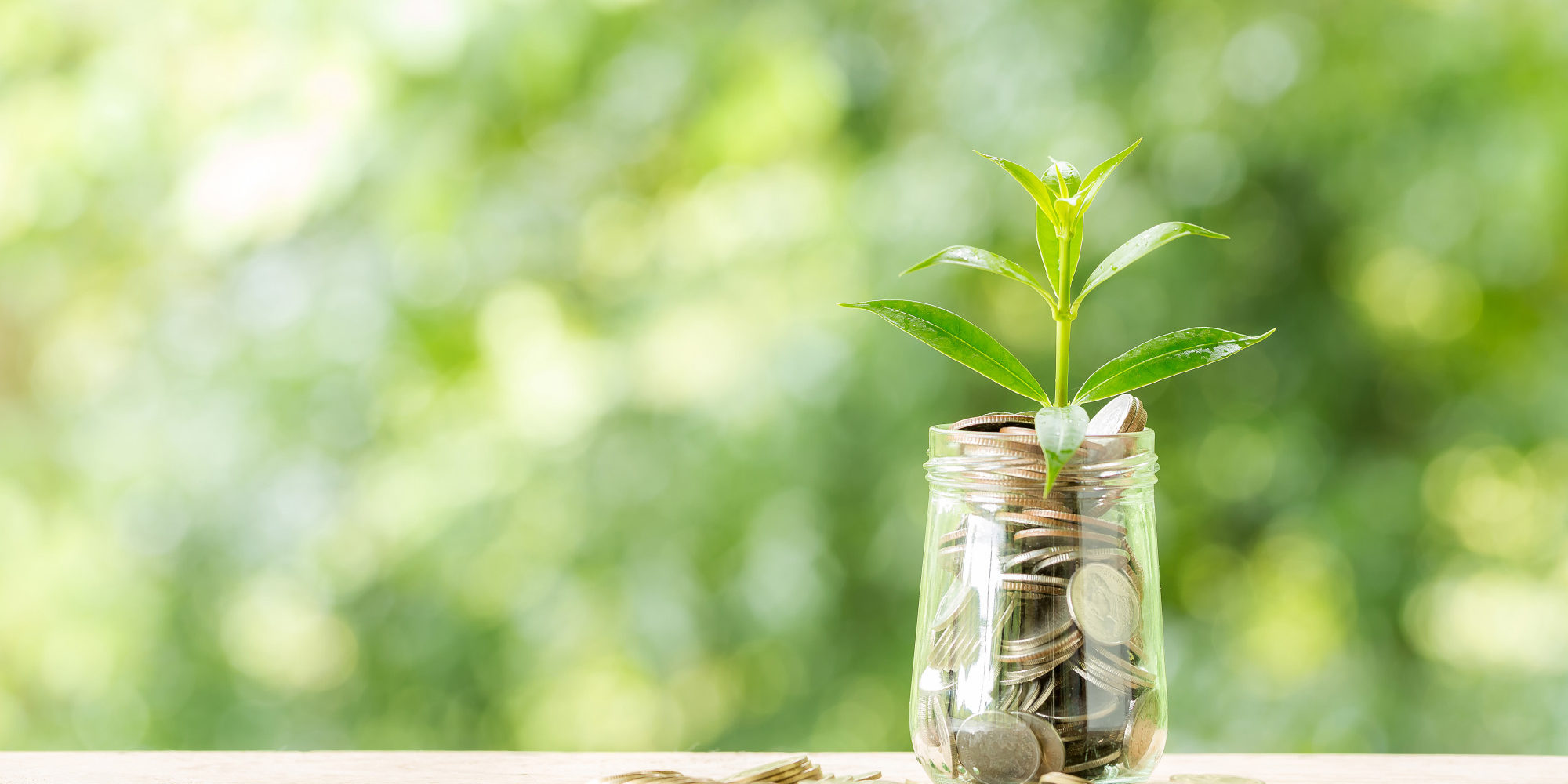 plant-growing-from-coins-in-the-glass-jar-on-blurred-nature