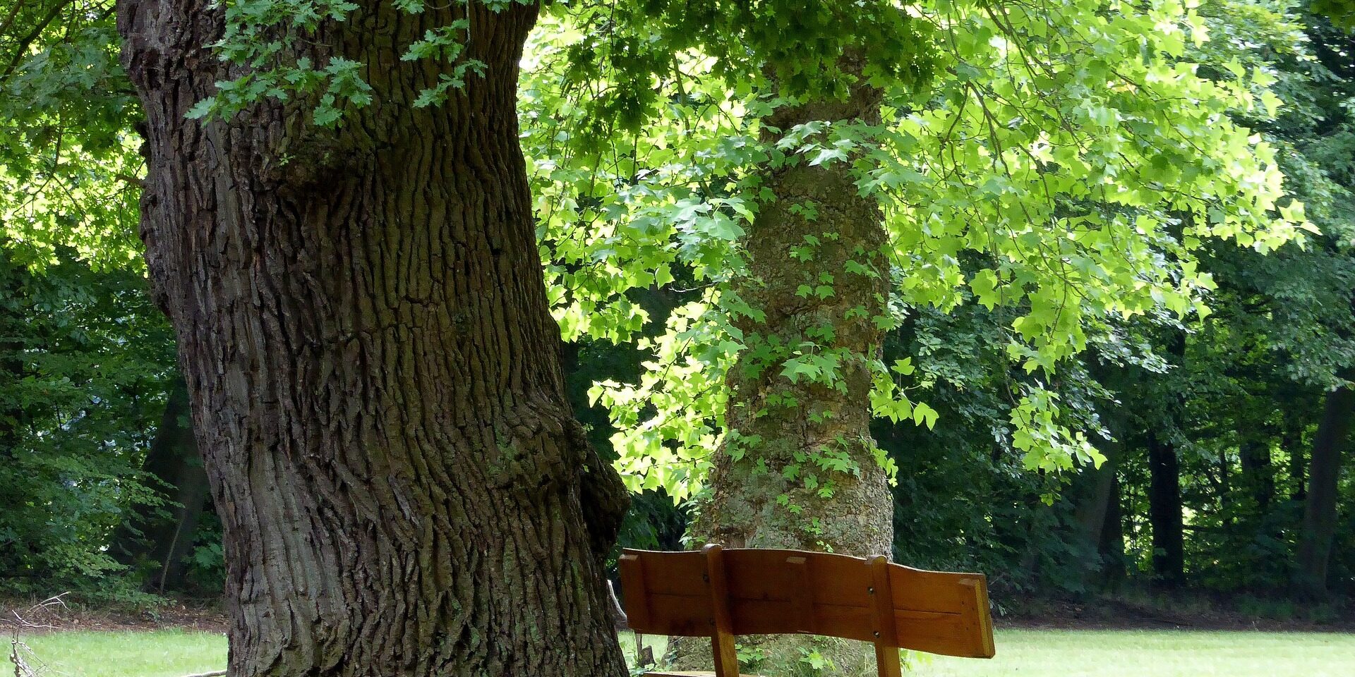 park-bench-1628870_1920